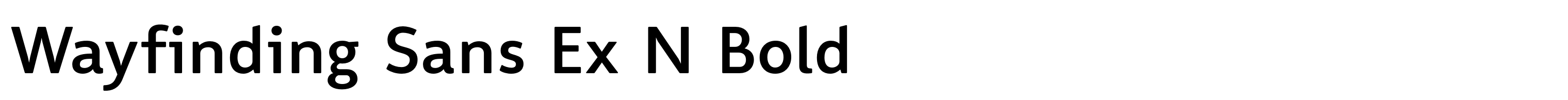 Wayfinding Sans Ex N Bold